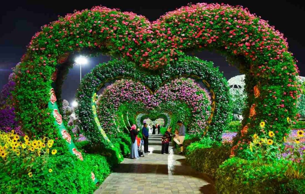 dubai miracle garden latest picture in dubai october 2022